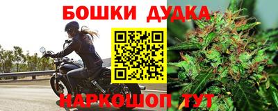 крисы Комсомольск-на-Амуре