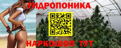 крисы Комсомольск-на-Амуре