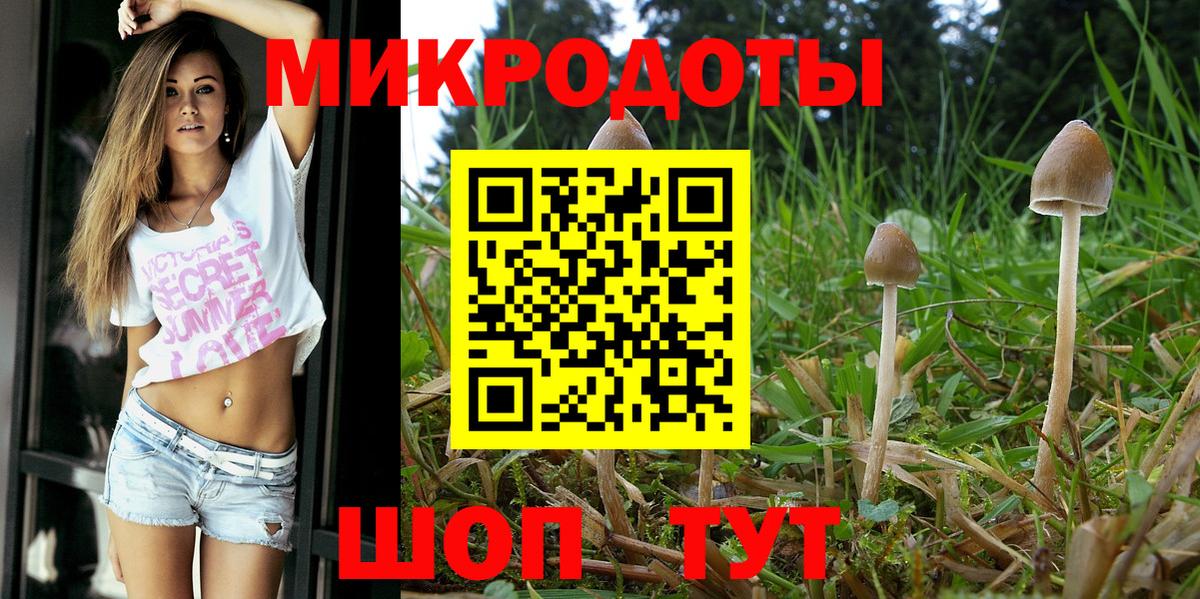 Псилоцибиновые грибы мицелий Камышлов